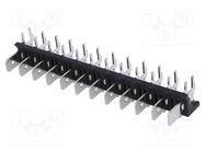 Terminal: spade terminal strip; 6.3mm; THT; 250V; angled 90°; 12A XINYA