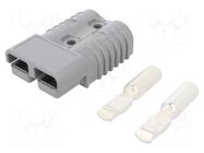Connector: wire-wire; plug; hermaphrodite; SB® 175; 600V; PIN: 2 ANDERSON POWER PRODUCTS