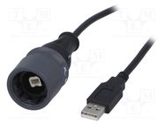 Cable; USB 2.0; USB A plug,USB B plug; 2m; IP66,IP68,IP69K; 1A BULGIN