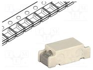 Fuse: fuse; time-lag; 2A; 250VAC; 125VDC; SMD; copper; OMT; tape,bag SCHURTER