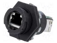 Coupler; coupler; PIN: 8; Cat: 5e; shielded; gold-plated; 8p8c MOLEX