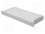 Enclosure: rack mounting; Standard: 19"; 1U; grey; rack; Y: 203mm GAINTA