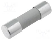 Fuse: fuse; gG; 6A; 500VAC; ceramic,cylindrical,industrial SIBA