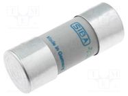 Fuse: fuse; gR; 32A; 690VAC; ceramic,cylindrical,industrial SIBA