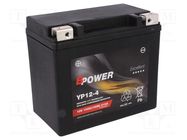 Re-battery: acid-lead; 12V; 10Ah; AGM; maintenance-free,left + 