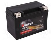 Re-battery: acid-lead; 12V; 8Ah; AGM; maintenance-free,left + 