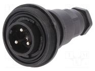 Connector: circular; plug; male; PIN: 3; Standard Buccaneer®; IP68 BULGIN