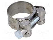 T-bolt clamp; W: 20mm; Clamping: 29÷31mm; chrome steel AISI 430; S MPC INDUSTRIES