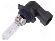 Filament lamp: automotive; P20d; transparent; 12V; 60W; LLB LUCAS