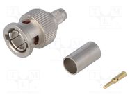 Connector: BNC; plug; male; straight; 75Ω; crimped; for cable TELEGÄRTNER