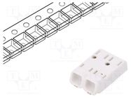 Connector: plug-in; MICROCON; 4mm; ways: 2; 0.2÷0.75mm2; 6A; SMT ELECTRO TERMINAL