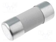 Fuse: fuse; gR; 100A; 690VAC; ceramic,cylindrical,industrial DF ELECTRIC