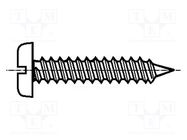 Screw; 4.8x16; Head: cheese head; slotted; 1,2mm; steel; zinc 