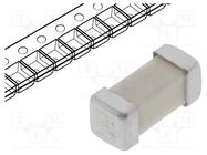 Fuse: fuse; time-lag; 315mA; 125VAC; 125VDC; SMD; ceramic; brass SIBA