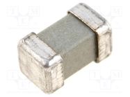 Fuse: fuse; time-lag; 315mA; 250V; SMD; ceramic; 8x4.5x4.5mm; brass SIBA