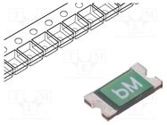 Fuse: PTC polymer; 500mA; Imax: 100A; 0ZCJ; 1206 BEL FUSE