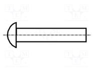 Rivet; aluminium; Rivet diam: 2mm; L.rivet: 6mm; BN 401; DIN 660 BOSSARD