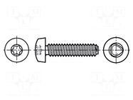 Screw; for metal; 4x8; Head: cheese head; Torx®; TX20; steel; zinc BOSSARD