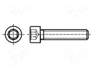 Screw; M8x25; 1.25; Head: cheese head; hex key; HEX 6mm; DIN 912 BOSSARD