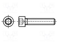 Screw; M1.6x12; 0.35; Head: cheese head; hex key; HEX 1,5mm BOSSARD