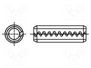 Springy stud; spring steel; BN 879; Ø: 3mm; L: 18mm BOSSARD