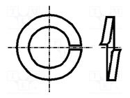 Washer; spring; M6; D=11.8mm; h=1.6mm; spring steel; Plating: zinc BOSSARD