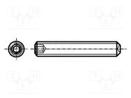 Screw; M5x12; 0.8; Head: without head; hex key; HEX 2,5mm; steel BOSSARD