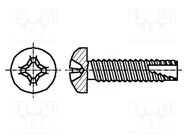 Screw; for metal; 3x10; Head: cheese head; Phillips; PH1; zinc 