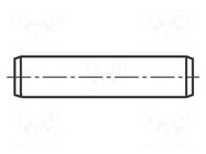 Cylindrical stud; steel; BN 1208; Ø: 1mm; L: 2mm BOSSARD