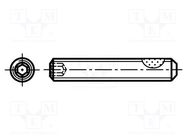 Screw; withTuflok patch; M3x10; 0.5; Head: without head; hex key BOSSARD