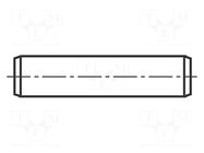 Cylindrical stud; stainless steel; BN 684; Ø: 2.5mm; L: 5mm; DIN 7 BOSSARD