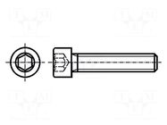 Screw; M6x10; 1; Head: cheese head; hex key; HEX 5mm; steel; zinc BOSSARD