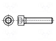 Screw; M8x30; 1.25; Head: cheese head; hex key; HEX 6mm; steel; zinc BOSSARD