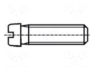 Screw; M5x6; 0.8; Head: cheese head; slotted; 1.2mm; steel; zinc BOSSARD