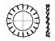 Washer; externally serrated; M3; D=6mm; h=0.4mm; spring steel BOSSARD