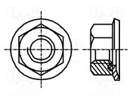 Nut; with flange; hexagonal; M10; 1.5; A2 stainless steel; 15mm BOSSARD