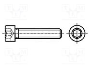 Screw; M3x10; 0.5; Head: cheese head; hex key; HEX 2,5mm; steel BOSSARD