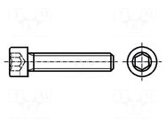 Screw; M3x20; 0.5; Head: cheese head; hex key; HEX 2.5mm; steel BOSSARD