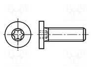 Screw; M3x6; 0.5; Head: cheese head; Torx®; TX08; steel; zinc BOSSARD