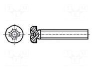 Screw; M6x10; 1; Head: cheese head; Phillips; PH3; steel; zinc BOSSARD