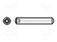 Screw; M6x5; 1; Head: without head; hex key; HEX 3mm; steel; zinc BOSSARD