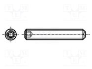 Screw; M1.6x2.5; 0.35; Head: without head; hex key; HEX 0,7mm BOSSARD