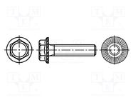 Screw; with flange; M8x30; 1.25; Head: hexagonal; steel; zinc BOSSARD