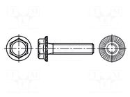 Screw; with flange; M8x30; 1.25; Head: hexagonal; steel; zinc BOSSARD