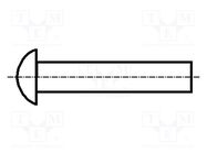 Rivet; copper; Rivet diam: 2mm; L.rivet: 4mm; BN 126; DIN 660 BOSSARD