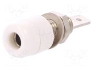 Connector: 4mm banana; socket; 32A; 33VAC; 70VDC; white; on panel SCHÜTZINGER