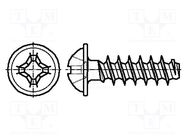 Screw; for plastic; 3.5x8; Head: button; Phillips; PH2; steel; zinc BOSSARD