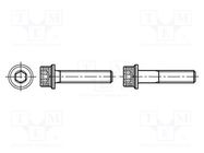 Screw; with flange; M5x30; 0.8; Head: knurled,cheese head; hex key BOSSARD