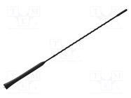 Antenna mast; 0.406m; M5/M6; Dacia,Renault; black PER.PIC.