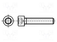 Screw; M2.5x10; 0.45; Head: cheese head; hex key; HEX 2mm; steel BOSSARD